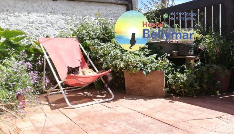 Hostal Bellymar Pichilemu Zewnętrze zdjęcie